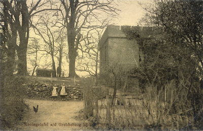 13364 Gezicht op het huis Koningstafel op de Grebbeberg te Grebbe (gemeente Rhenen).